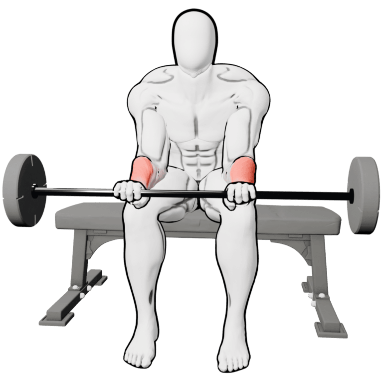 Reverse Barbell Wrist Curl — finishing position, working the forearms