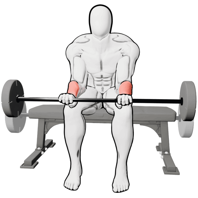 Reverse Barbell Wrist Curl