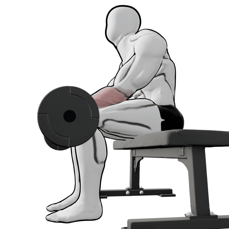 Reverse Barbell Wrist Curl — starting position, second camera angle