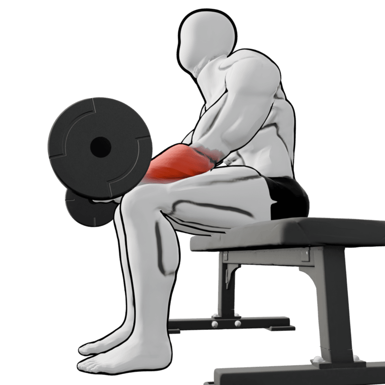 Reverse Barbell Wrist Curl — finishing position, second camera angle, working the forearms