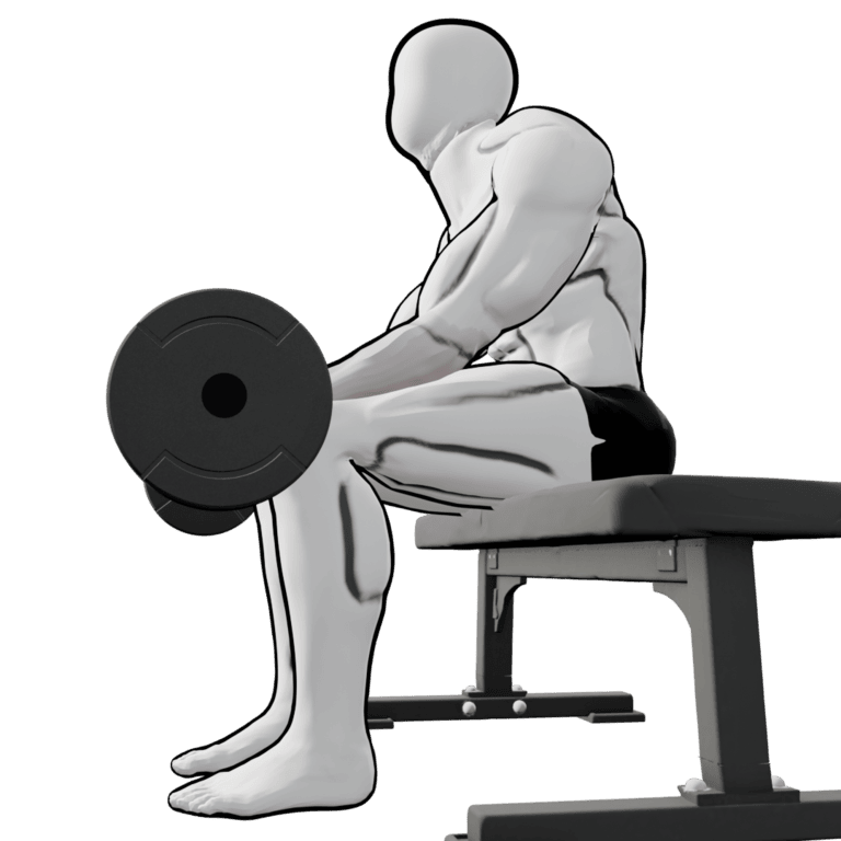 Barbell Wrist Curl — starting position, second camera angle