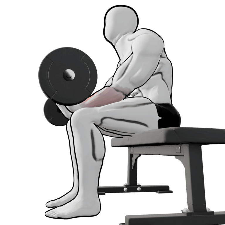 Barbell Wrist Curl — finishing position, second camera angle, working the forearms