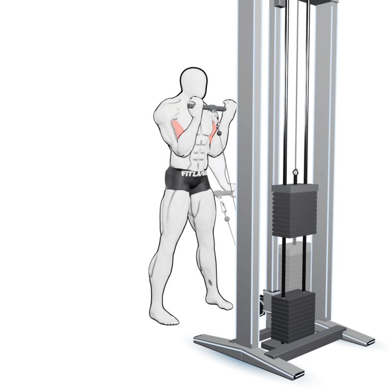 Cable Straight-Bar Curl