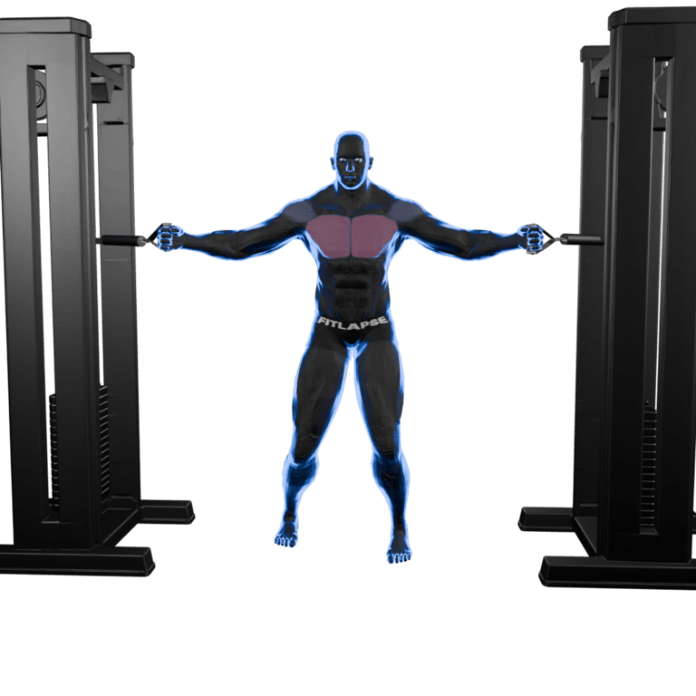 Cable Chest Fly