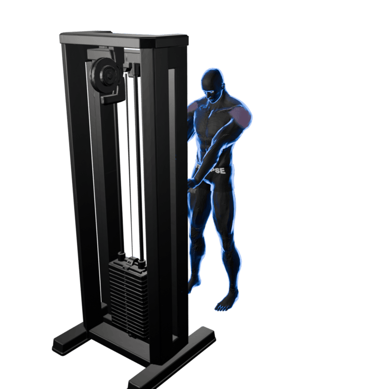 Cable Front Raise