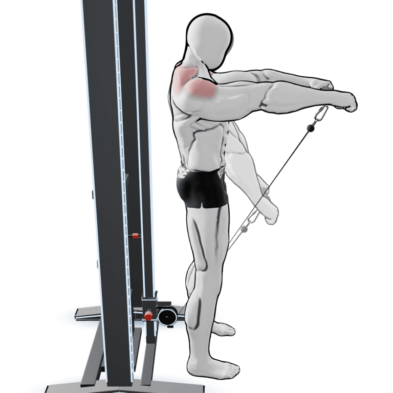 Cable Front Raise