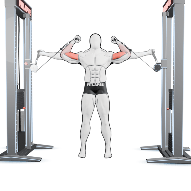 Cable High Curl