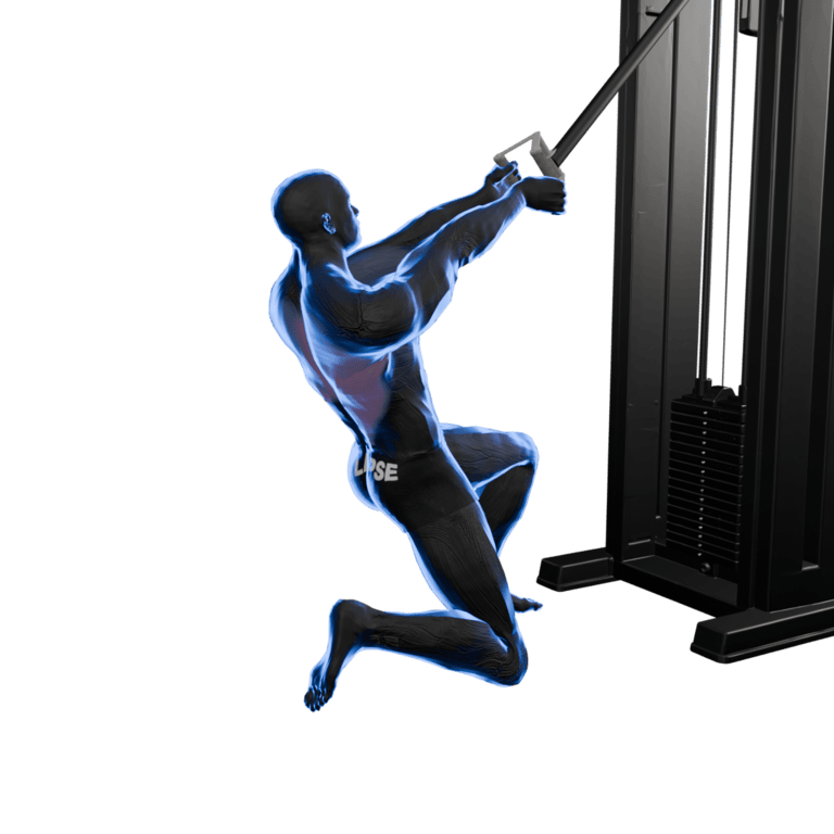Kneeling Cable High Row