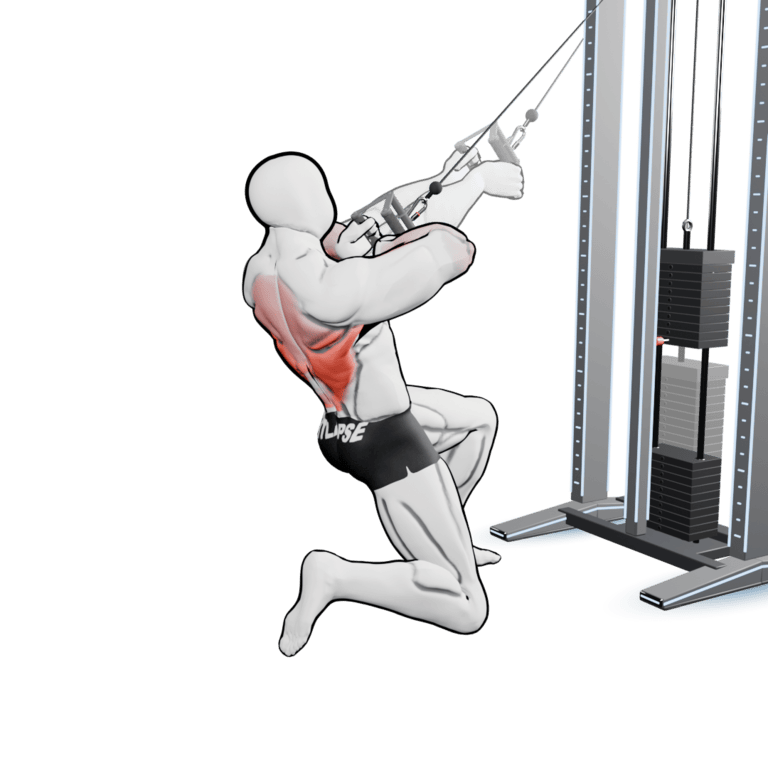 Kneeling Cable High Row