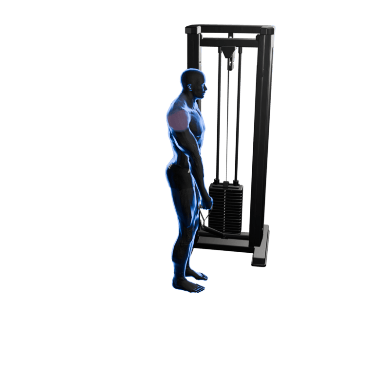 One-Arm Cable Lateral Raise