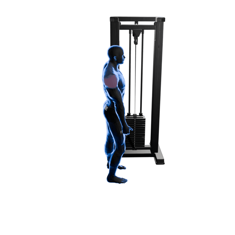 Cable Lean Lateral Raise