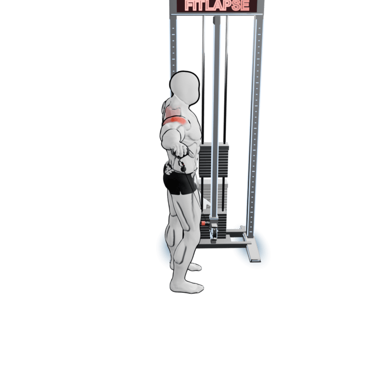 Cable Lean Lateral Raise