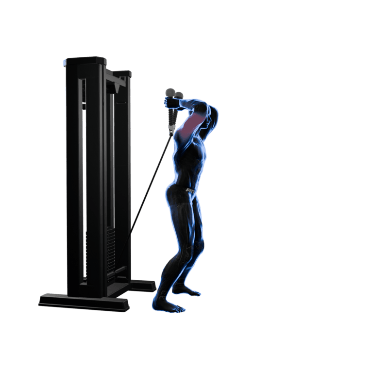 Cable Overhead Triceps Extension