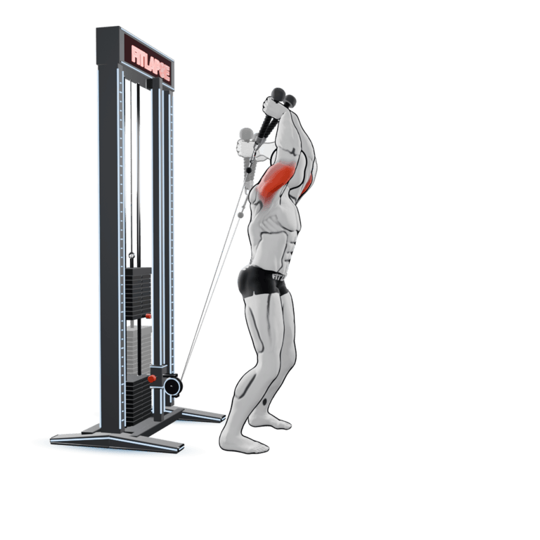 Cable Overhead Triceps Extension