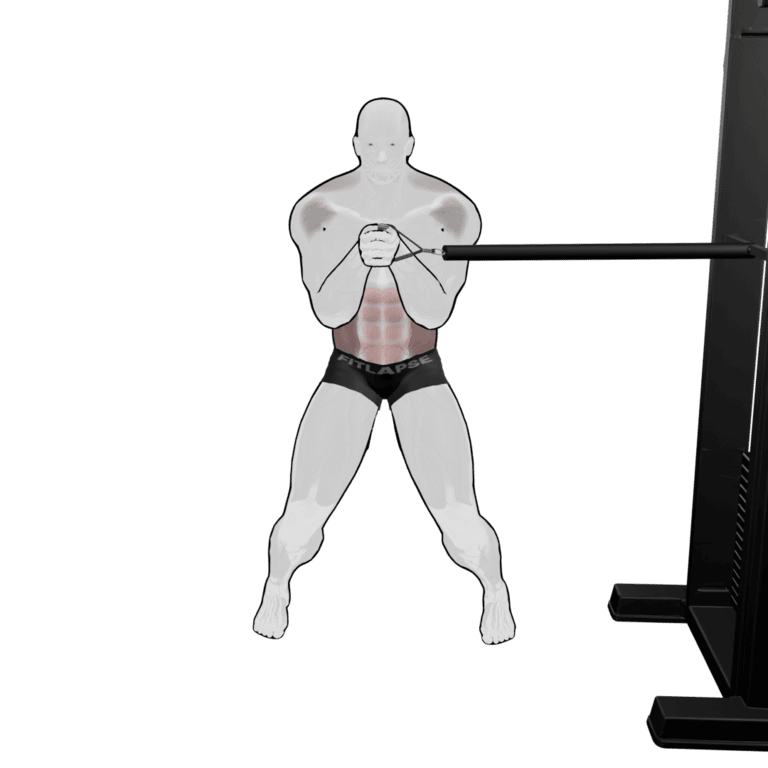 Cable Pallof Press