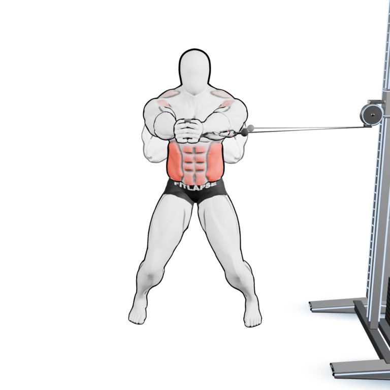 Cable Pallof Press