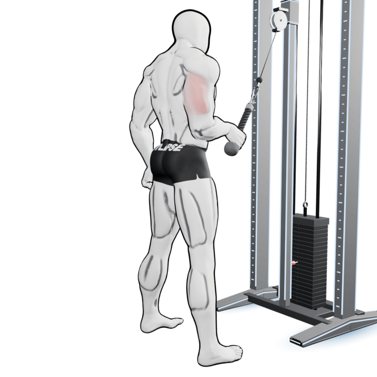Single-Arm Cable Rope Pushdown — starting position