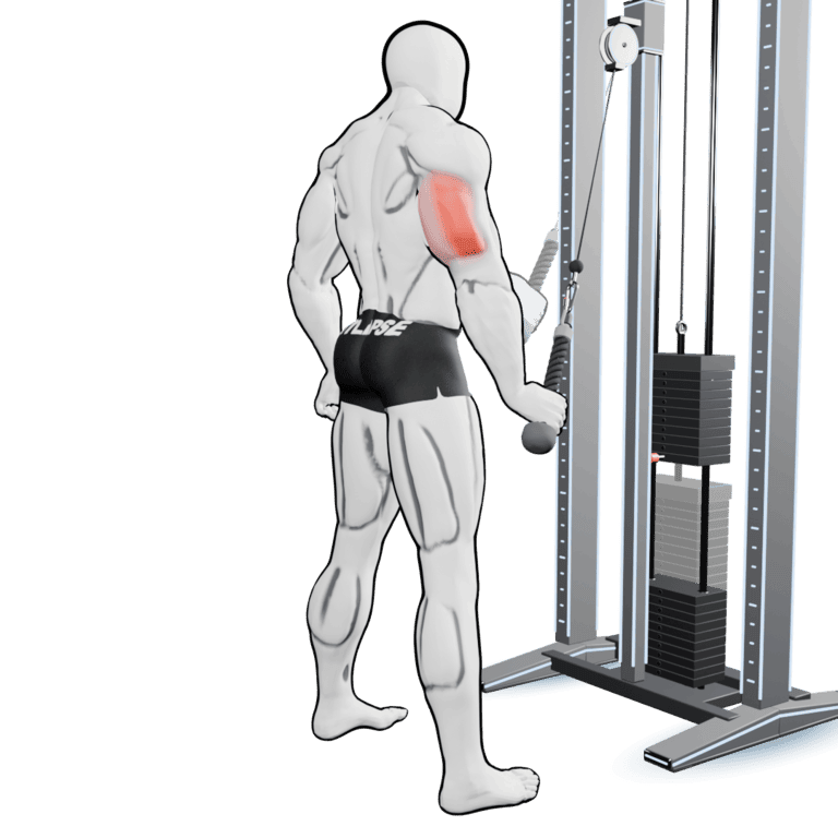 Single-Arm Cable Rope Pushdown