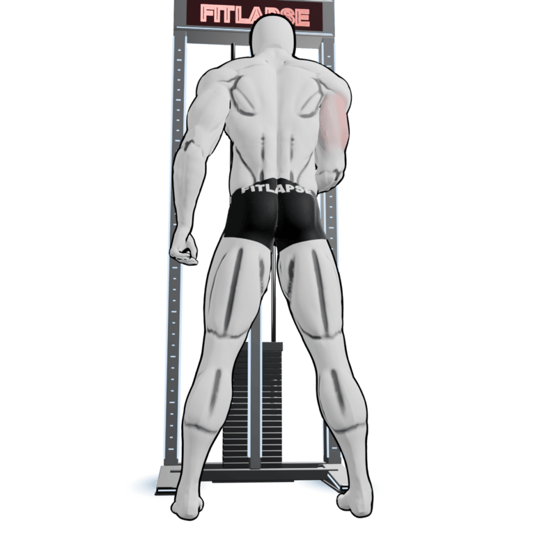 Single-Arm Cable Rope Pushdown — starting position, second camera angle