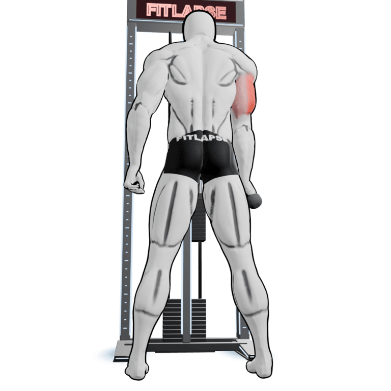 Single-Arm Cable Rope Pushdown — finishing position, second camera angle, working the triceps