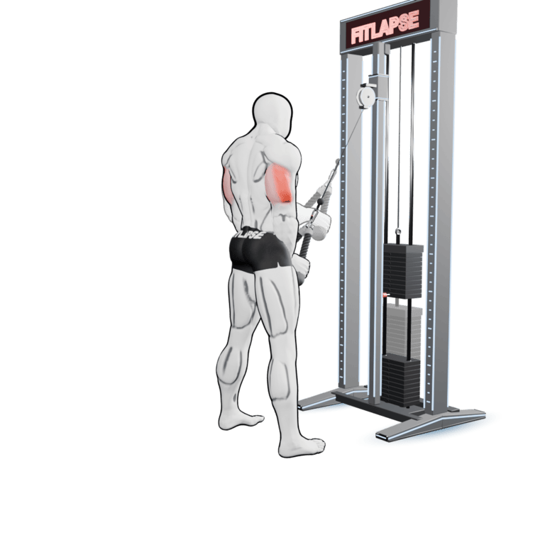 Cable Rope Triceps Pushdown