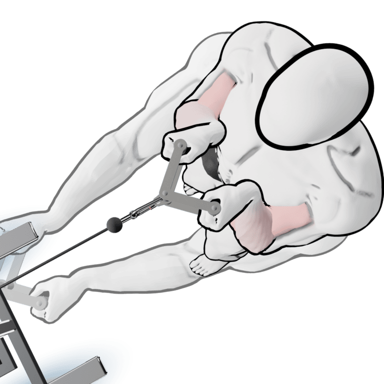 Standing Cable Horizontal Row