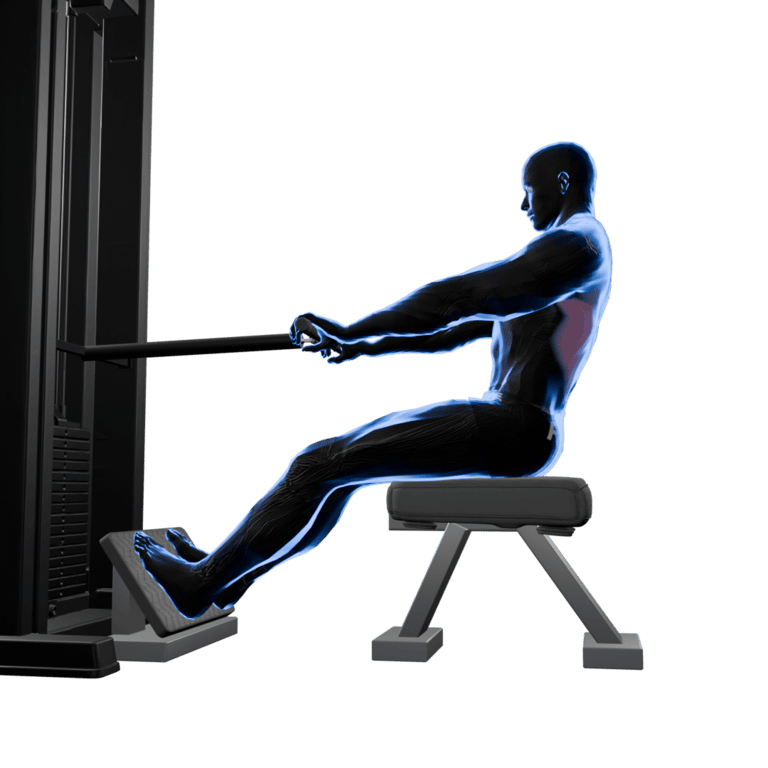 Seated Cable Row