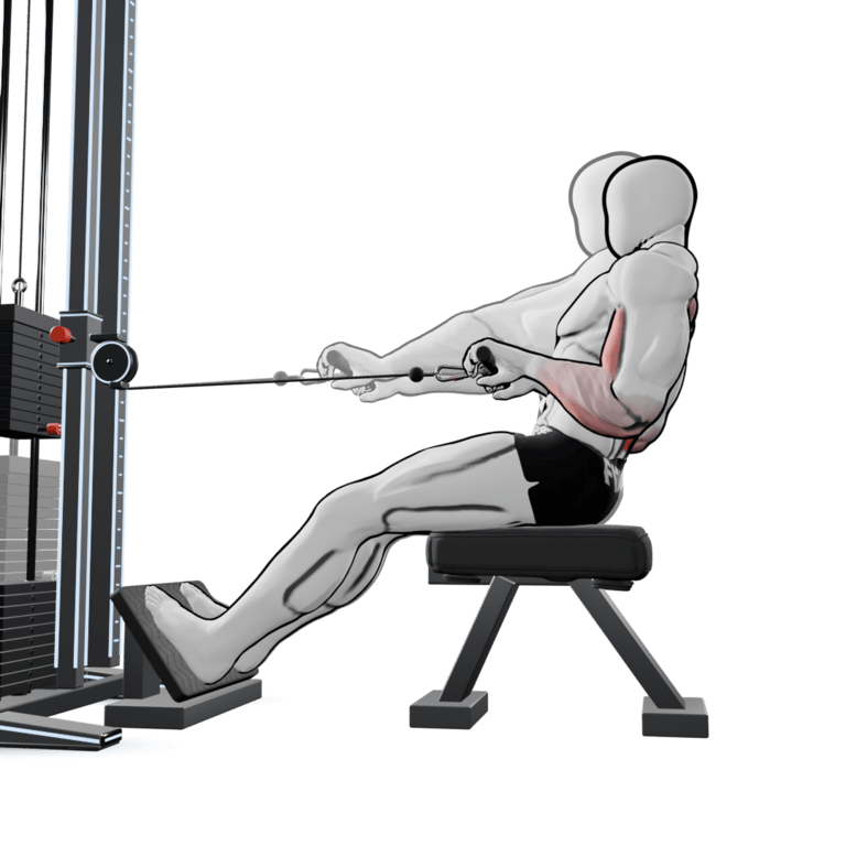 Seated Cable Row