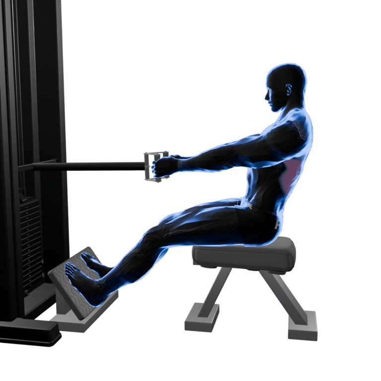 Seated Cable V-Bar Row