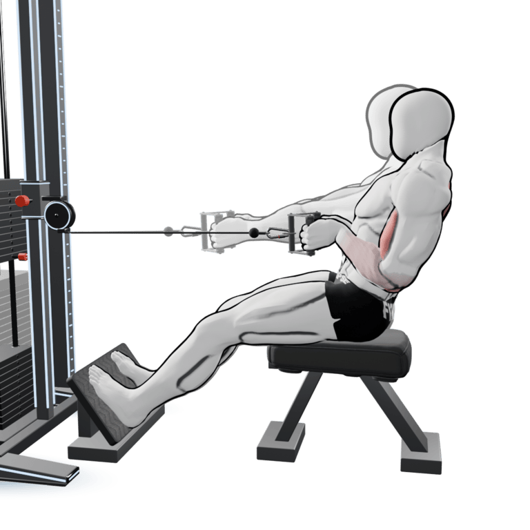 Seated Cable V-Bar Row