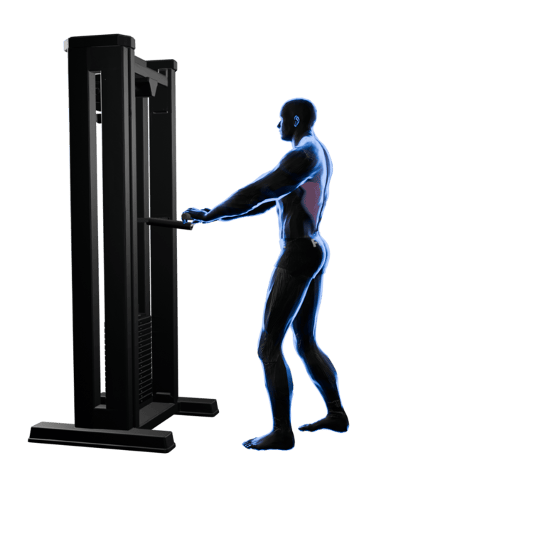 Standing Cable Row