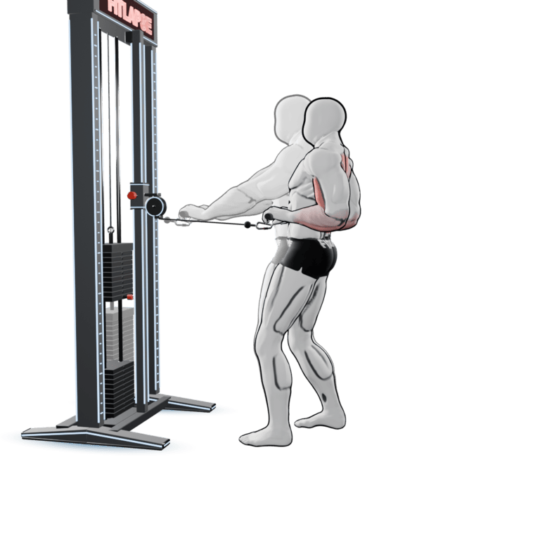 Standing Cable Row