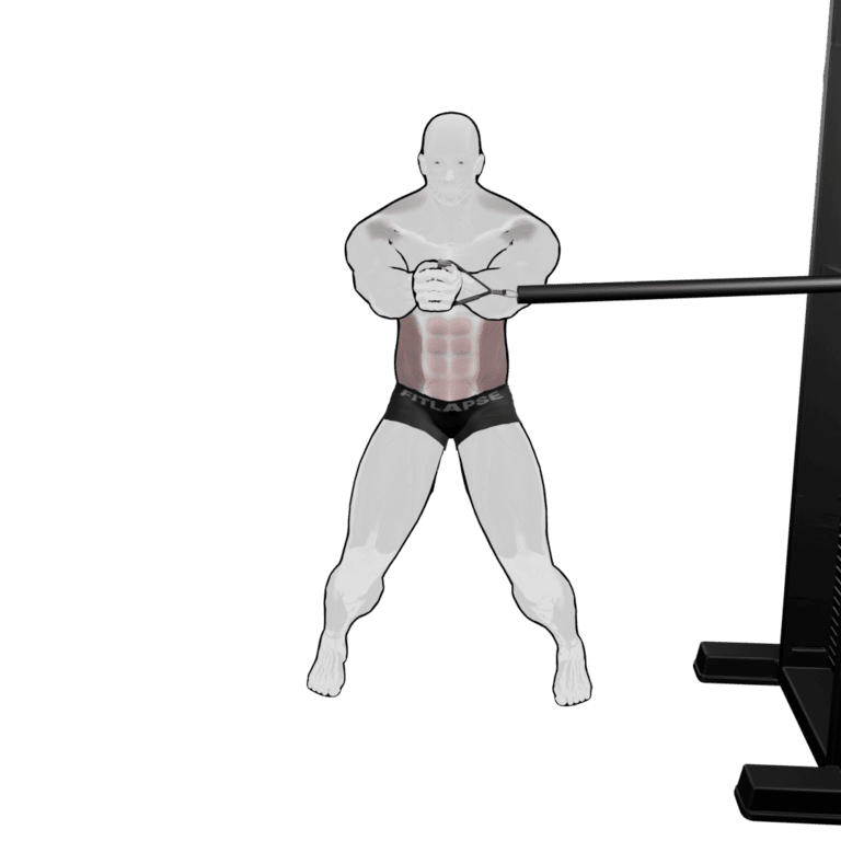 Standing Cable Torso Rotation