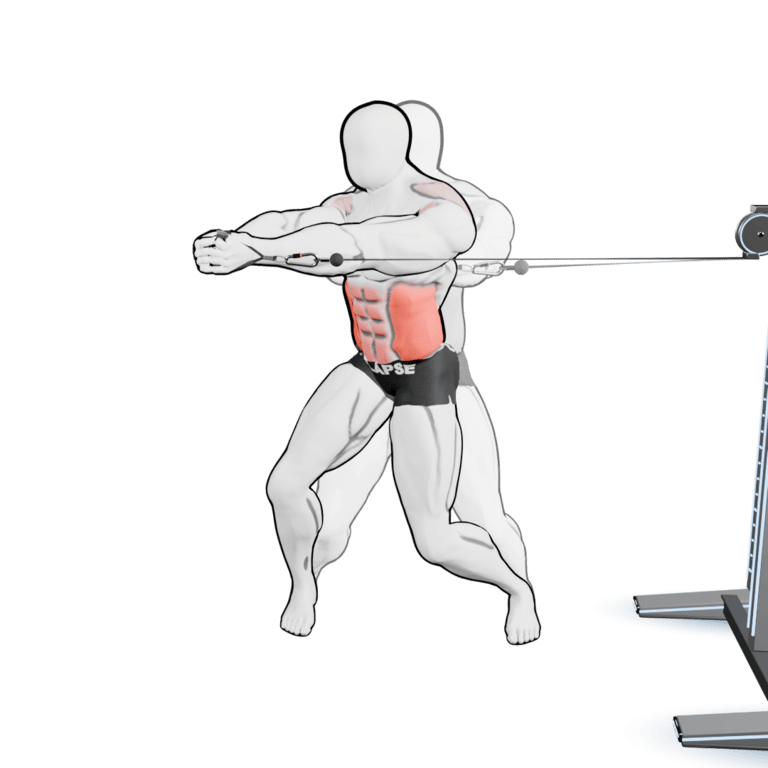 Standing Cable Torso Rotation