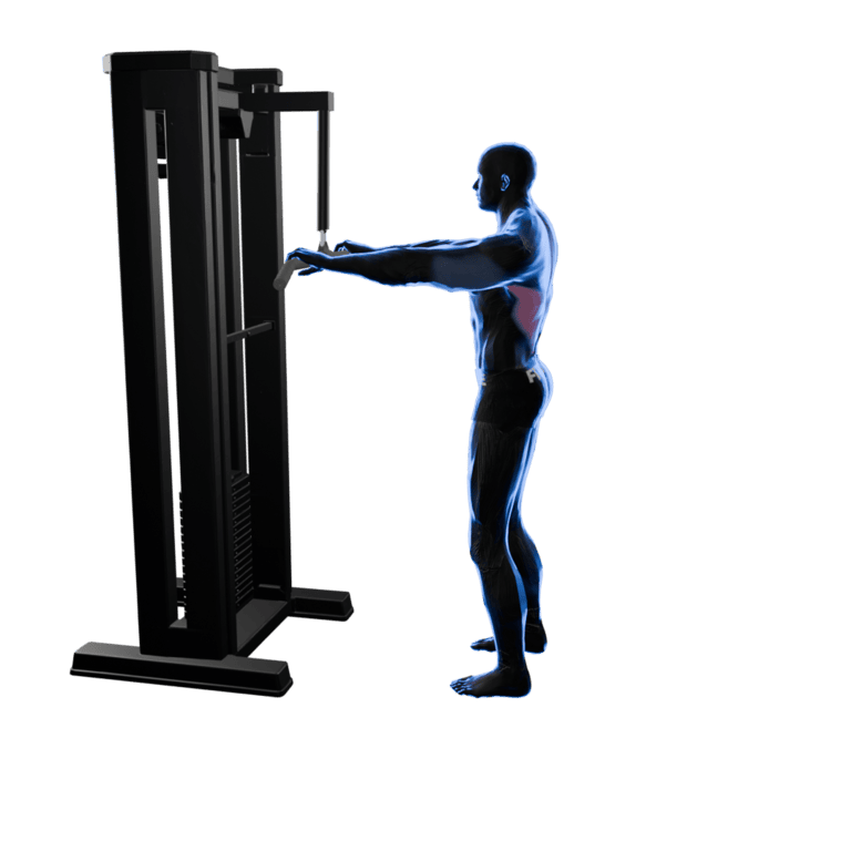 Cable Straight-Arm Pulldown