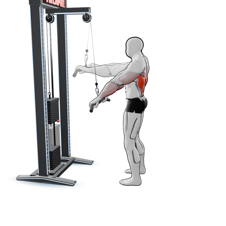 Cable Straight-Arm Pulldown
