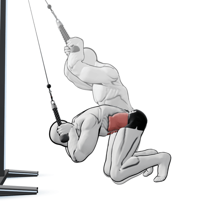 Kneeling Cable Crunch