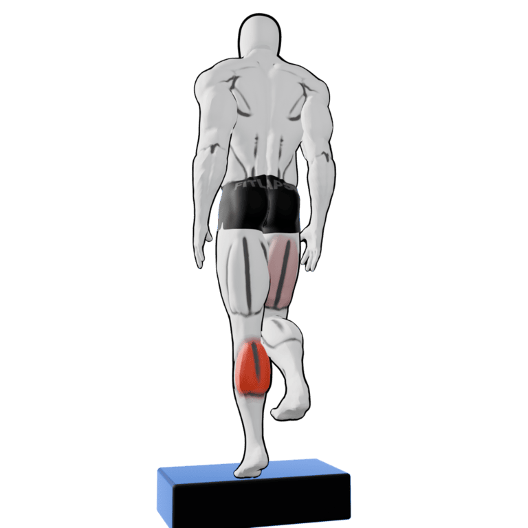 Single-Leg Calf Raise — finishing position, working the calves and glutes