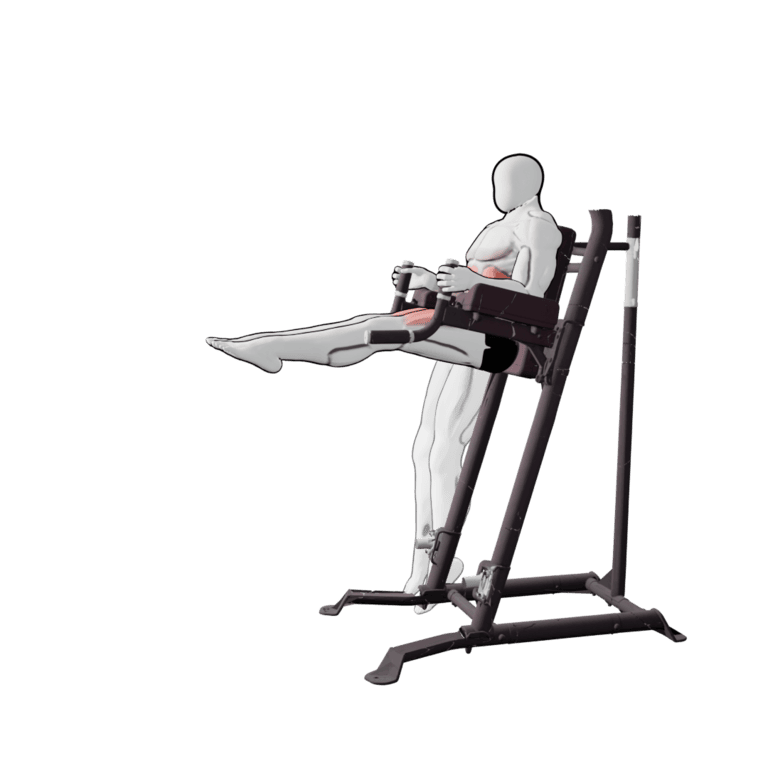 Captain's Chair Horizontal Leg Raise