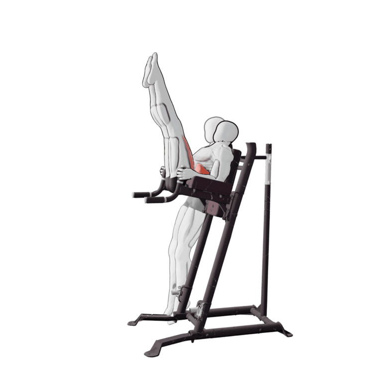 Captain's Chair Leg Raise