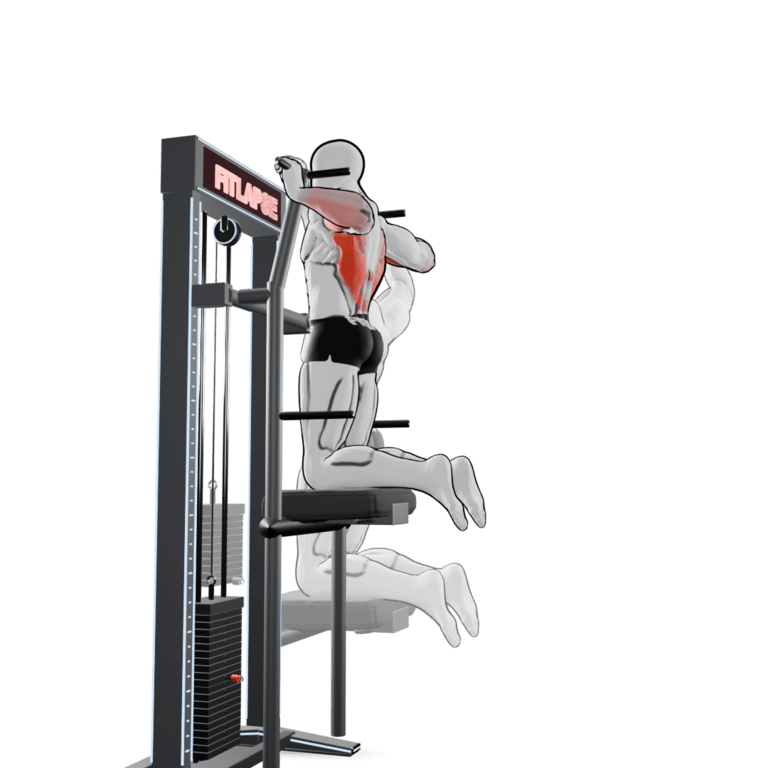 Assisted Chin-Up