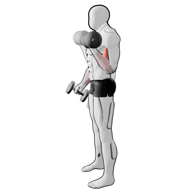 Alternating Rotation Curl