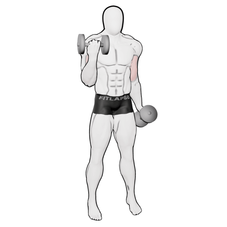 Alternating Rotation Curl — starting position, second camera angle