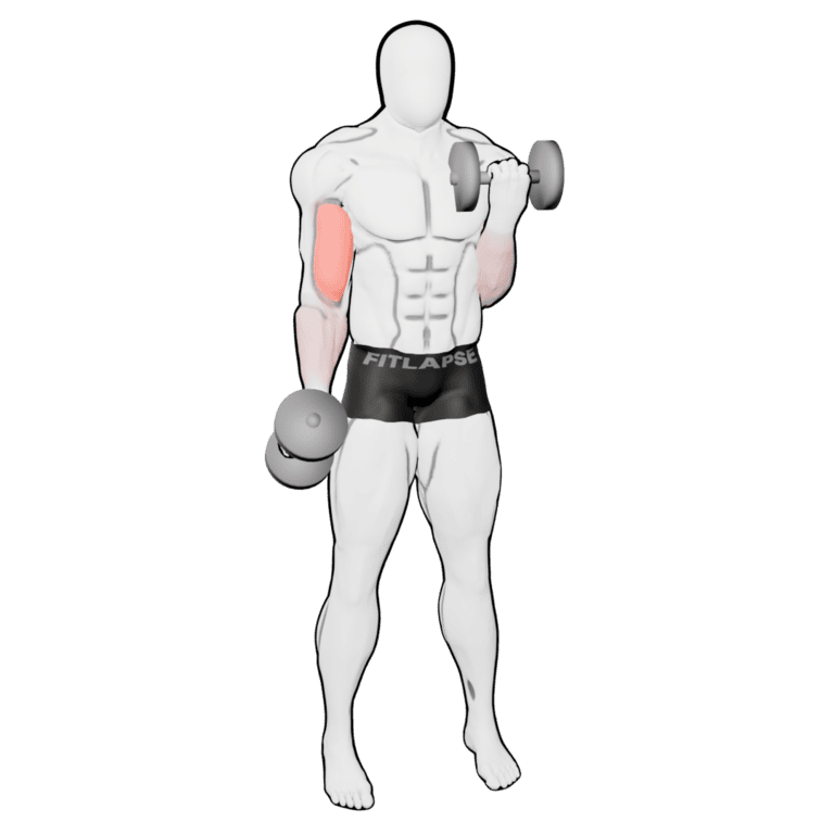 Alternating Rotation Curl — finishing position, second camera angle, working the biceps and forearms