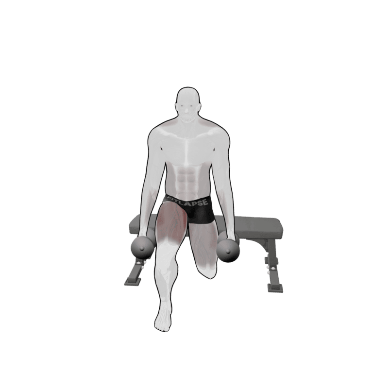 Dumbbell Bulgarian Split Squat