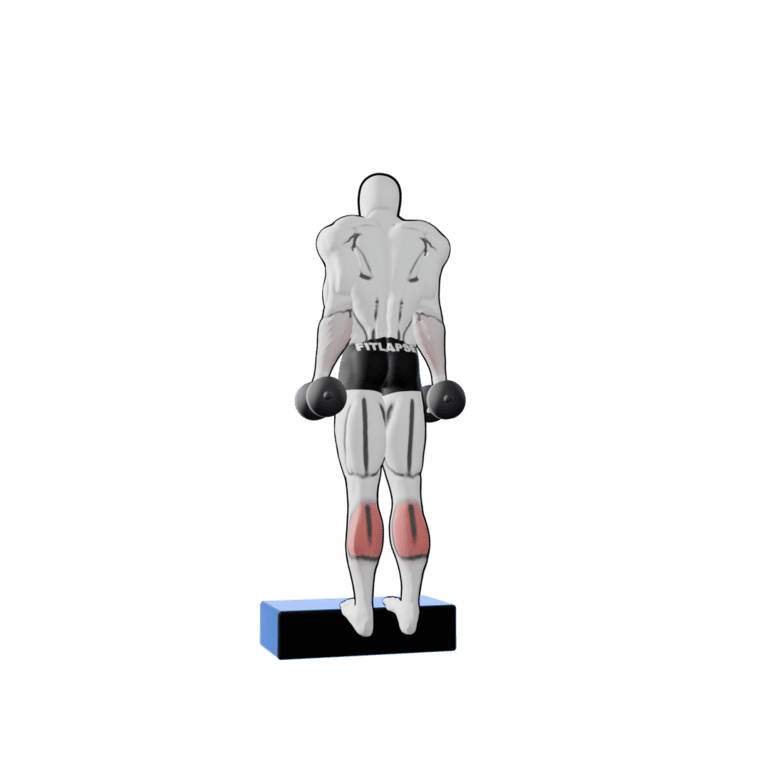 Dumbbell Calf Raise — starting position