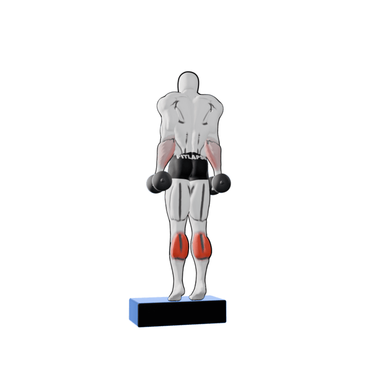 Dumbbell Calf Raise — finishing position, working the calves and forearms