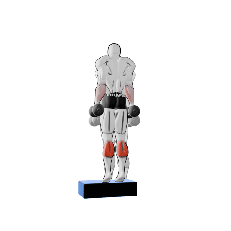 Dumbbell Calf Raise