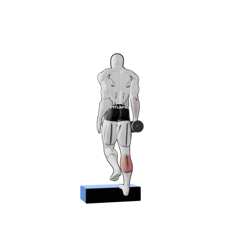 Single-Leg Dumbbell Calf Raise — starting position