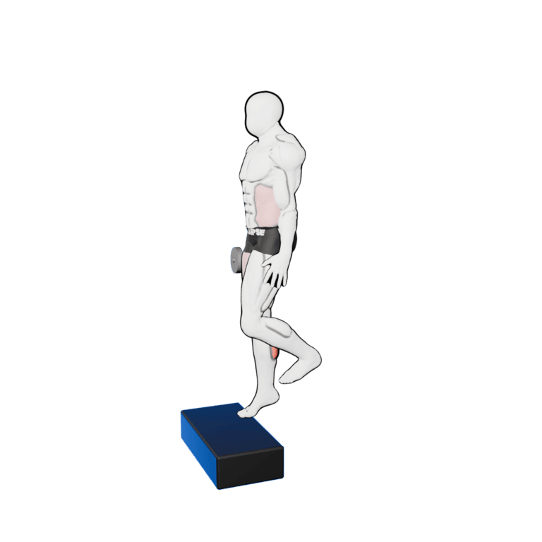 Single-Leg Dumbbell Calf Raise — finishing position, second camera angle, working the calves and forearms